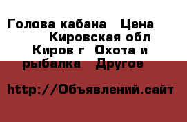 Голова кабана › Цена ­ 8 000 - Кировская обл., Киров г. Охота и рыбалка » Другое   